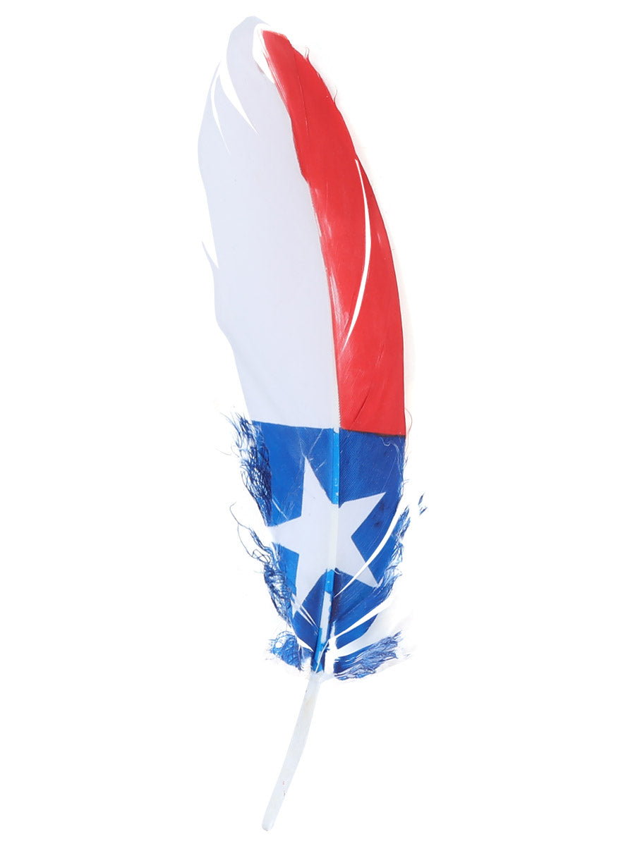 Pluma decorativa 42039
